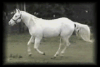 l28
